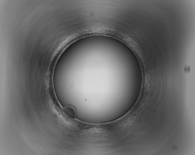 X0000111020578200906191654