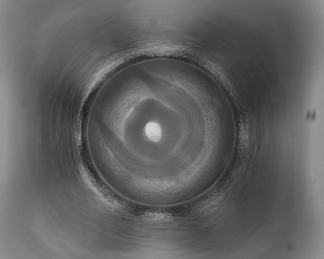X0000111020582200906191654