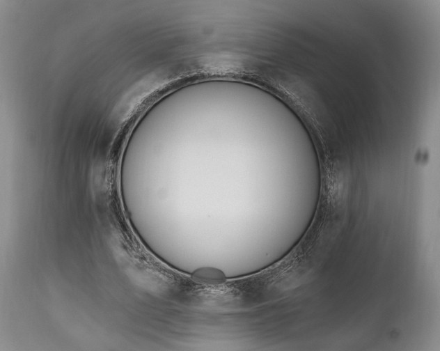X0000111020583200906191654
