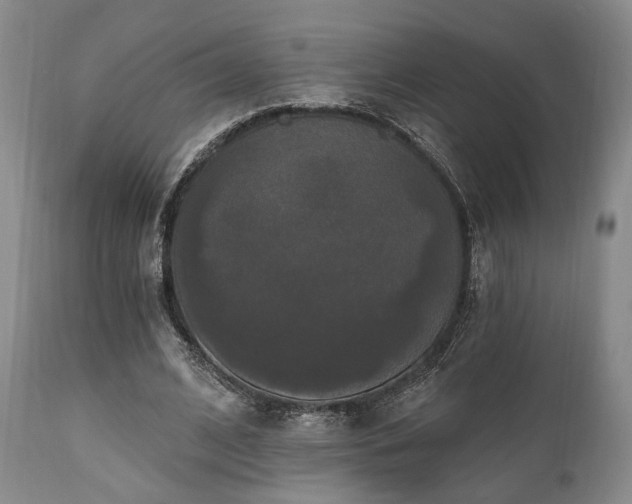X0000111020584200906191654