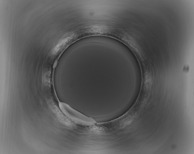 X0000111020585200906191654