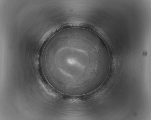 X0000111020586200906191654