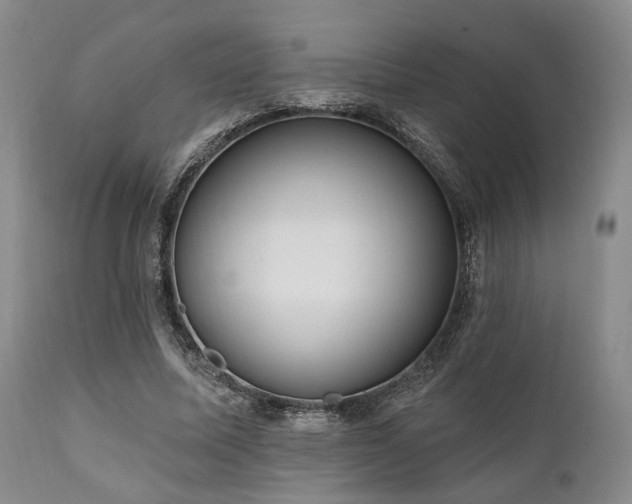 X0000111020587200906191654