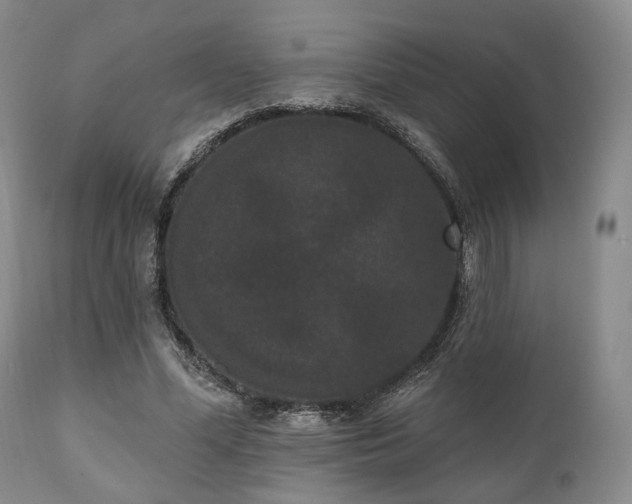 X0000111020588200906191654