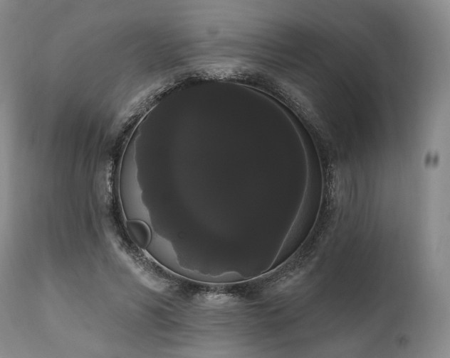 X0000111020590200906191654