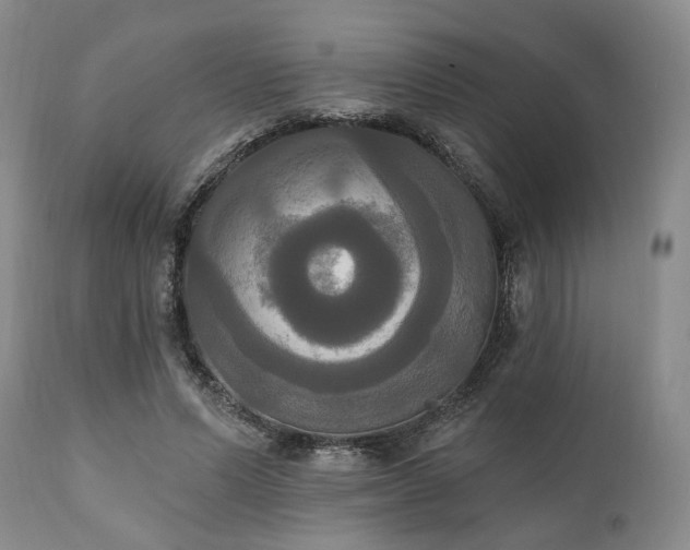 X0000111020591200906191654