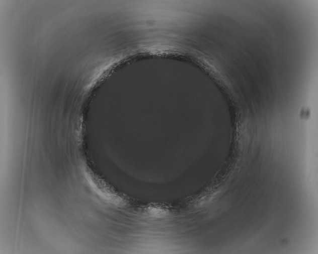 X0000111020592200906191654