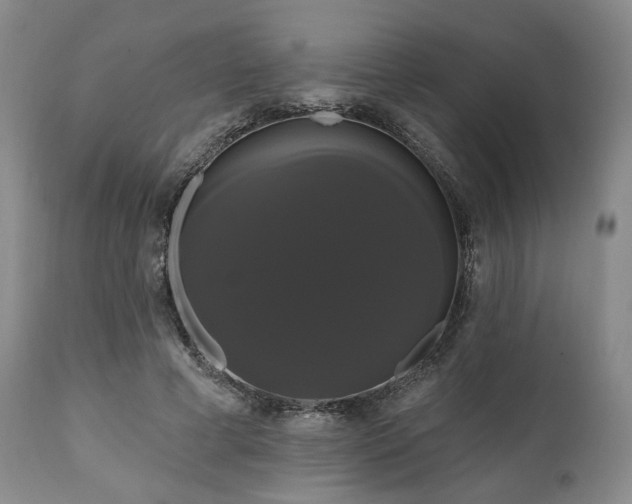 X0000111020593200906191654