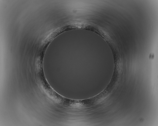 X0000111020594200906191654