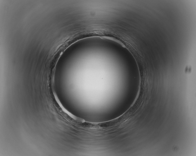 X0000111020595200906191654