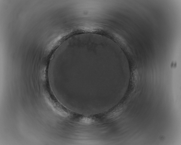 X0000111020596200906191654