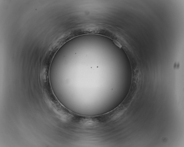 X0000111020597200906191654