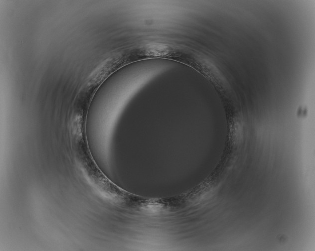 X0000111020598200906191654