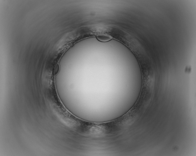 X0000111020599200906191654