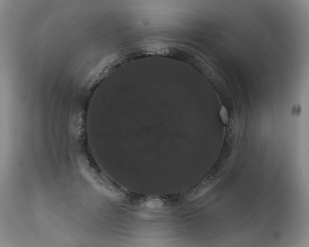 X0000111020600200906191654