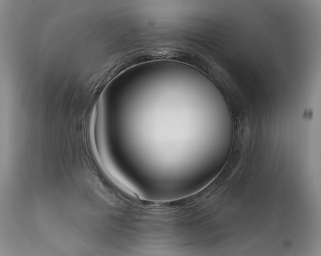 X0000111020601200906191654