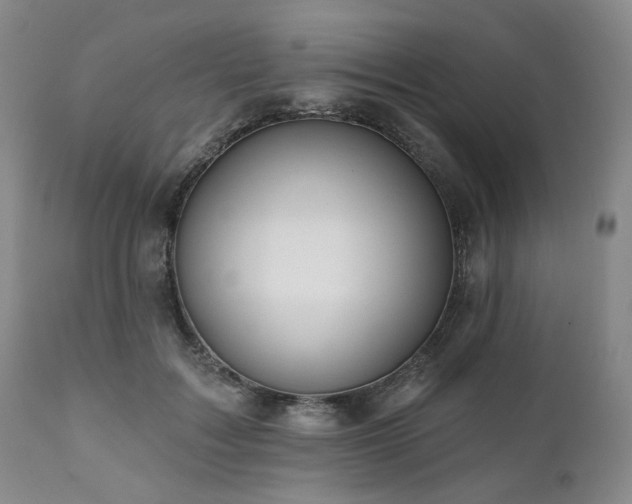 X0000111020603200906191654