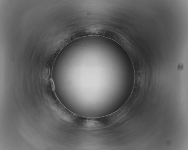 X0000111020605200906191654