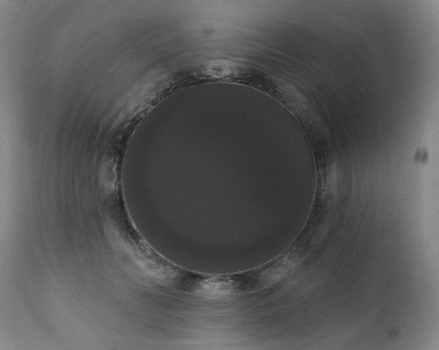 X0000111020606200906191653