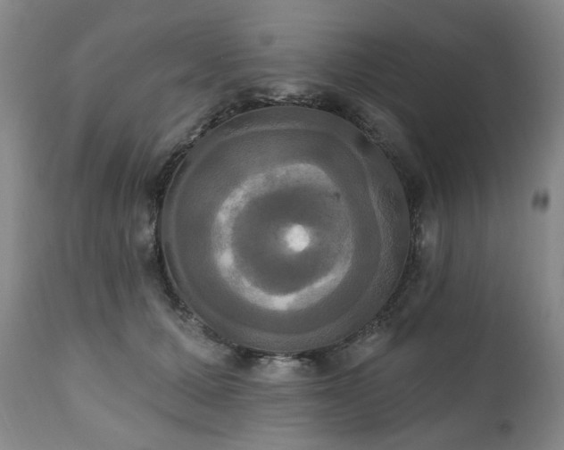 X0000111020607200906191653