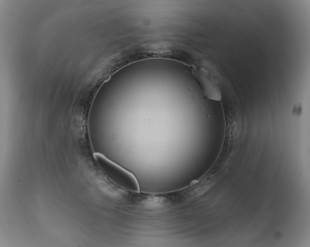 X0000111020609200906191653