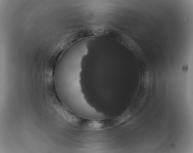 X0000111020610200906191653