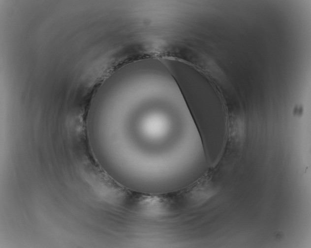 X0000111020611200906191653