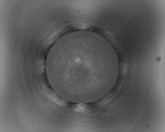 X0000111020612200906191653