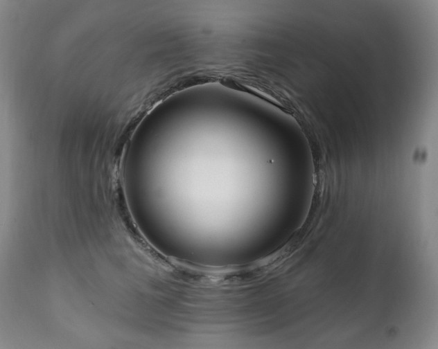 X0000111020613200906191653