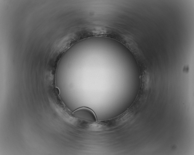 X0000111020614200906191653