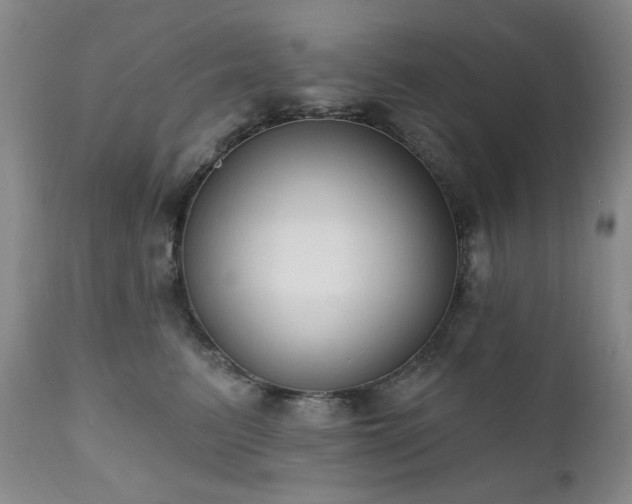 X0000111020615200906191653