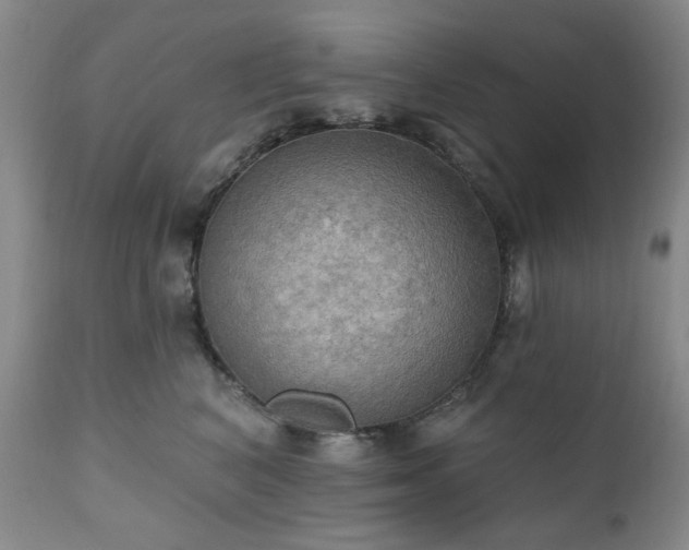 X0000111020616200906191653
