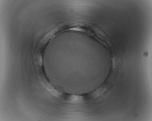X0000111020617200906191653