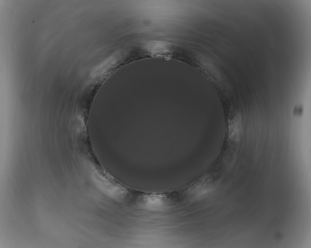 X0000111020618200906191653