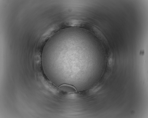 X0000111020620200906191653