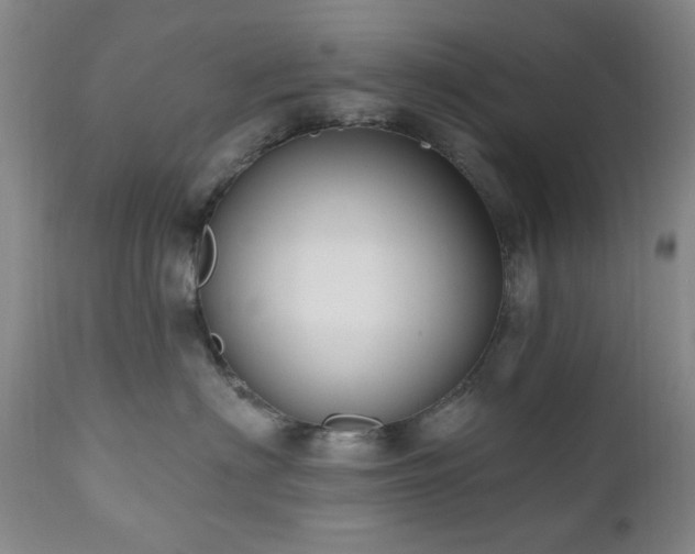 X0000111020622200906191653