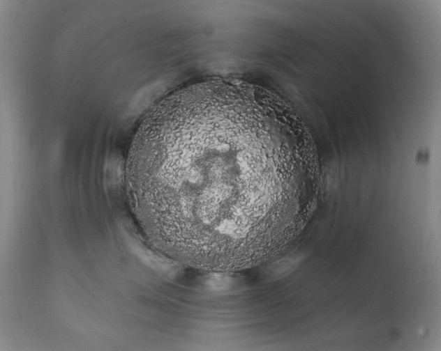 X0000111020623200906191653