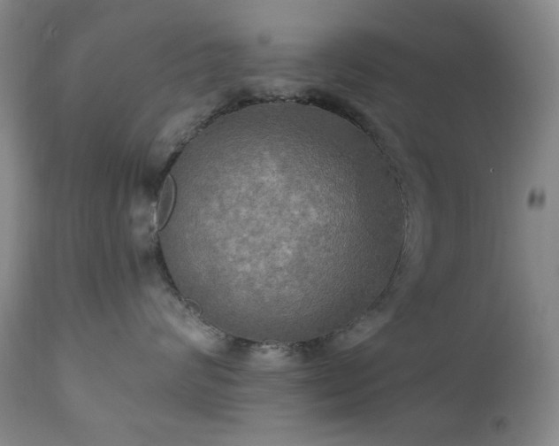 X0000111020624200906191653
