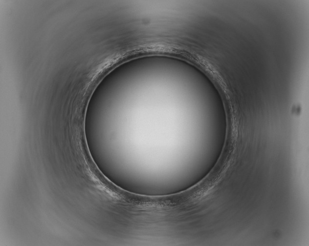 X0000111020625200906191653