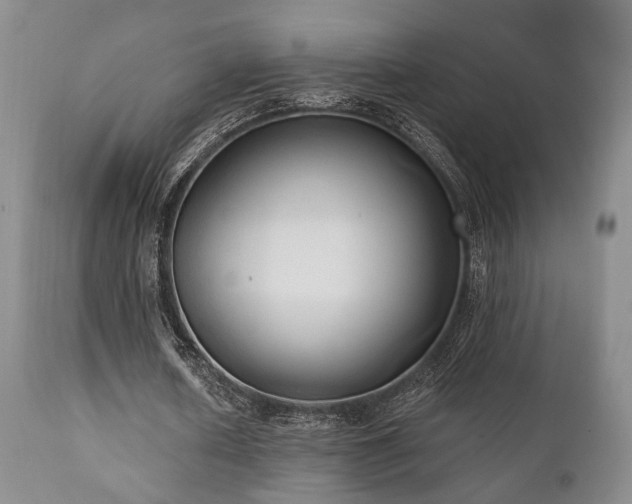X0000111020626200906191653