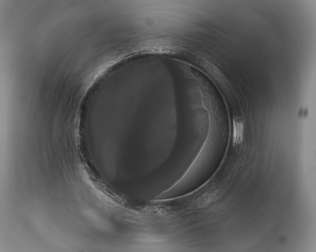 X0000111020627200906191653