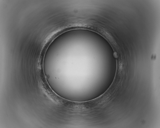 X0000111020628200906191653