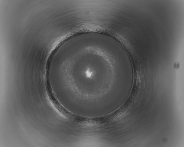 X0000111020630200906191653