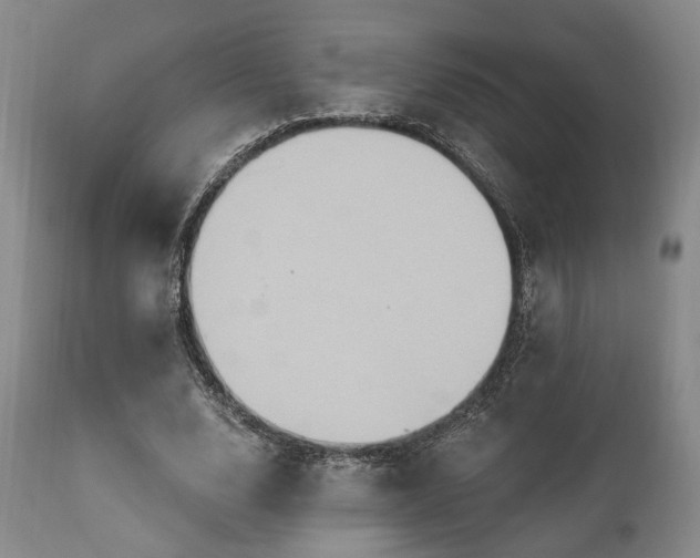 X0000111020632200906191653
