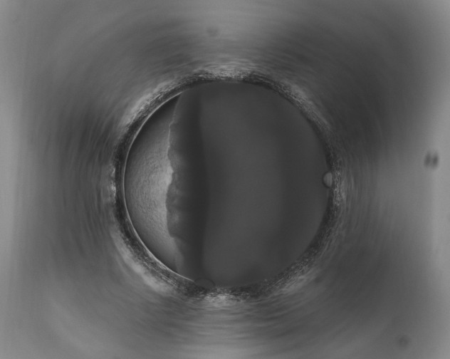 X0000111020634200906191653