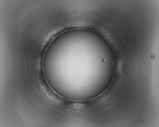 X0000111020636200906191653