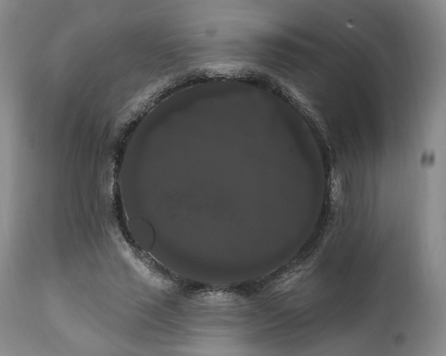 X0000111020637200906191653