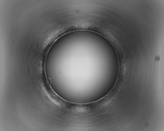 X0000111020638200906191653