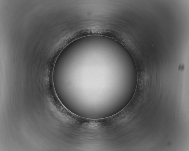 X0000111020639200906191653
