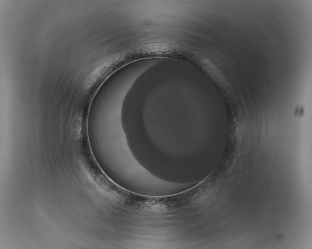 X0000111020640200906191653